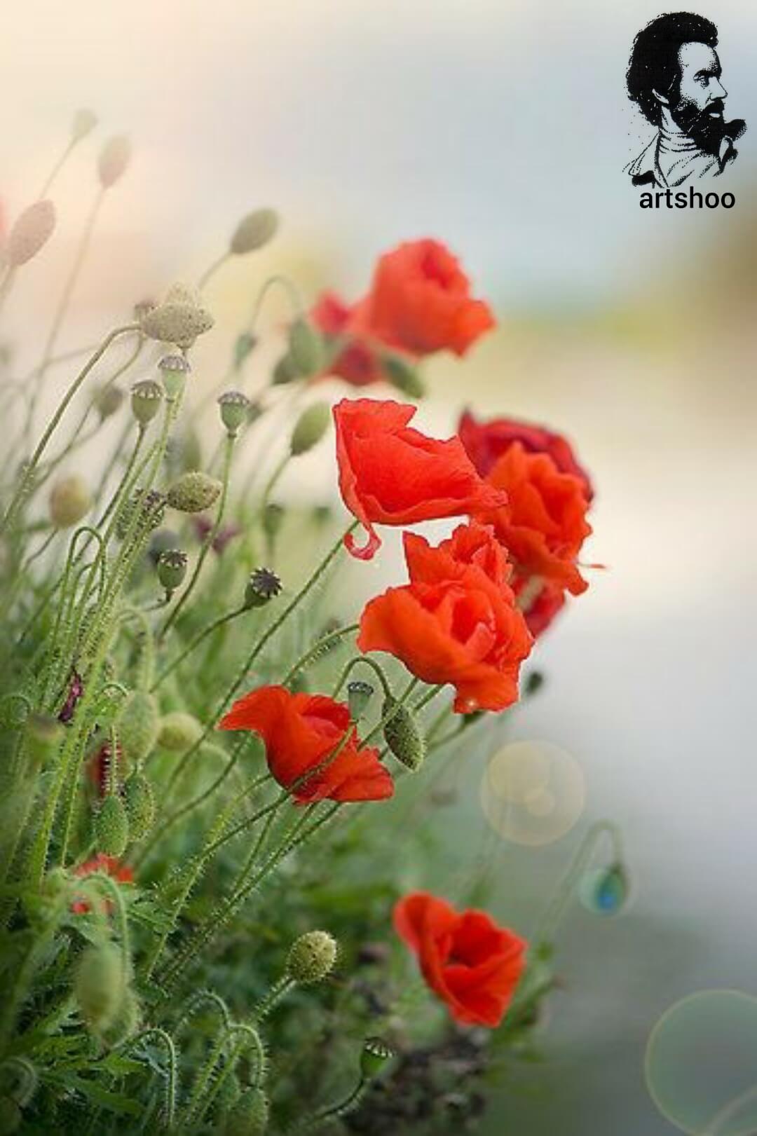 آموزش نقاشی رنگ روغن